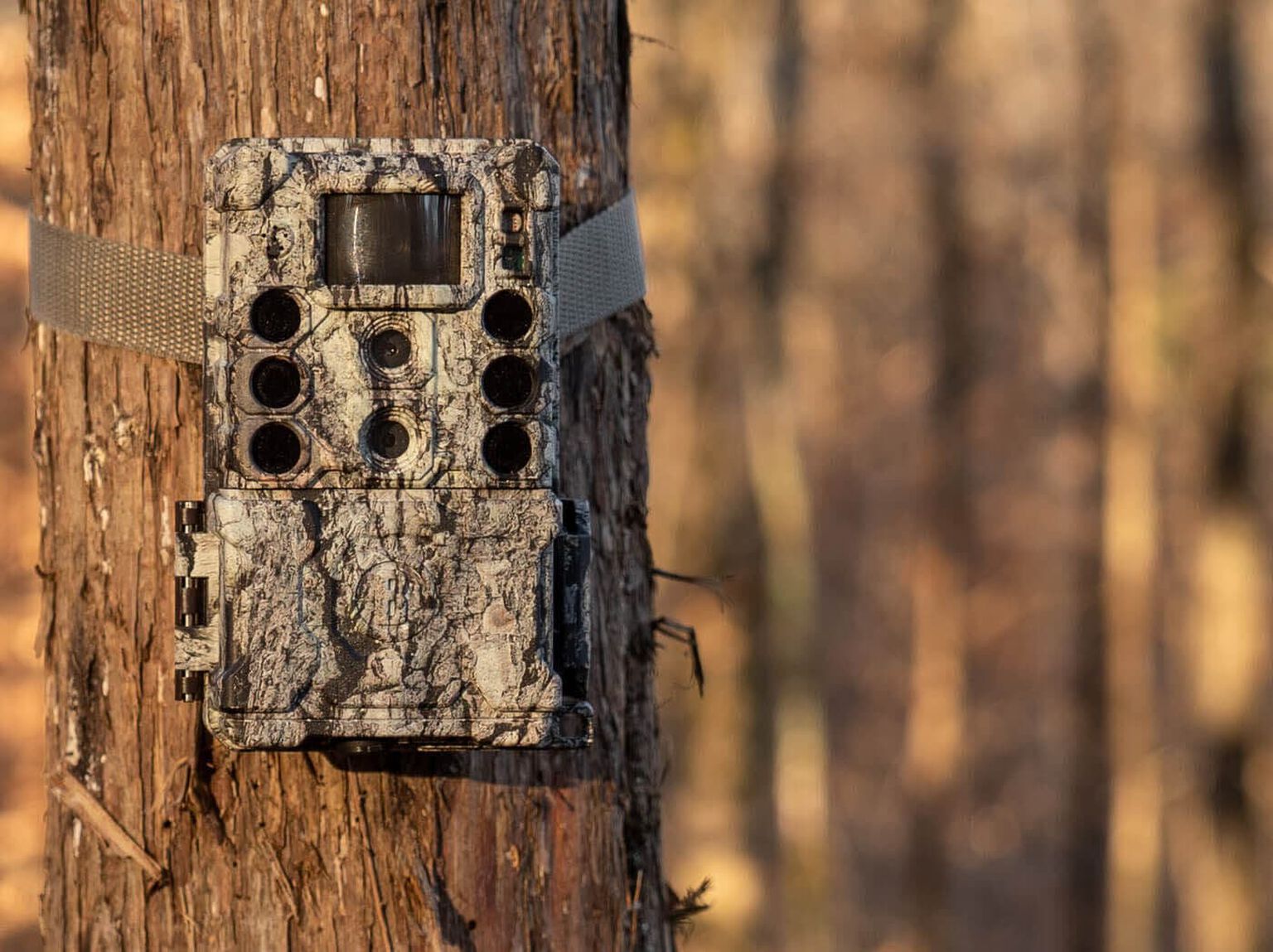 Trail Cameras, Hunting & Cellular Cameras Bushnell
